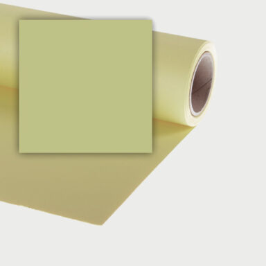 Colorama Fern _12 Seamless Paper Background 2 72m X 11m
