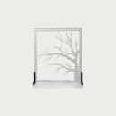 http://Shadow%20Board%20Tree%20Branches