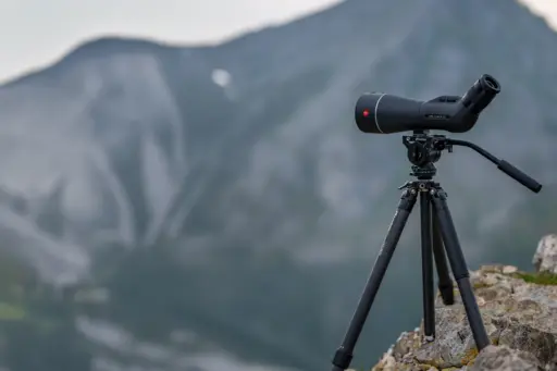 Leica Apo Televid 82 Angled 45 With Zoom Eyepiece 25x 50x Ww Asph Leica Apo Televid 82 Angled 45 With Zoom Eyepiece 25x 50x Ww Asph