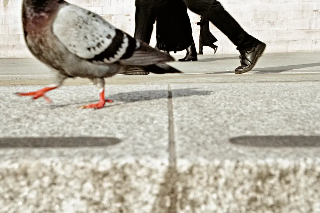 Photo Workshop And Masterclass