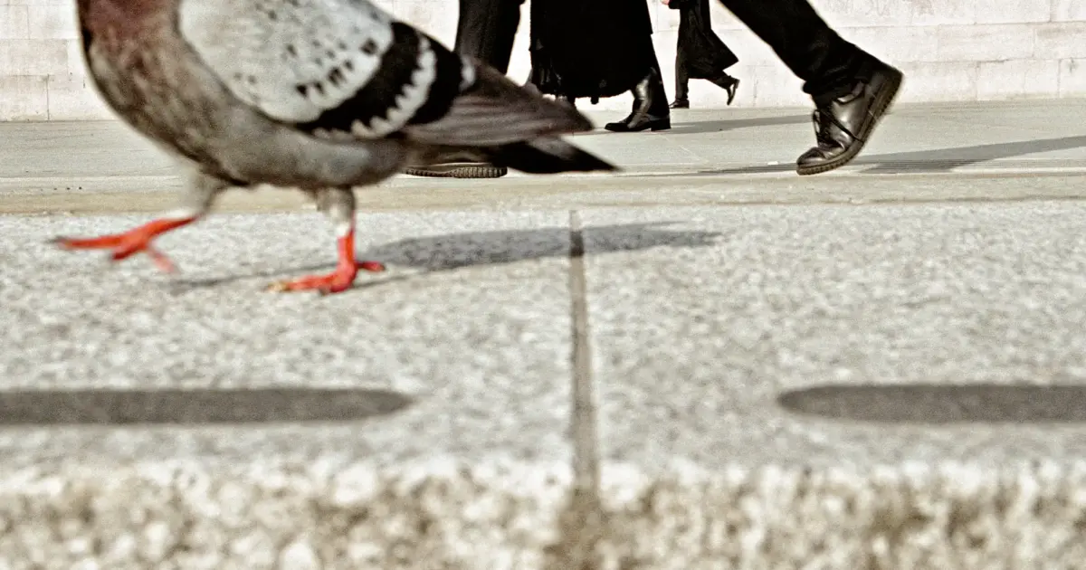 Newsletter pop-up image header