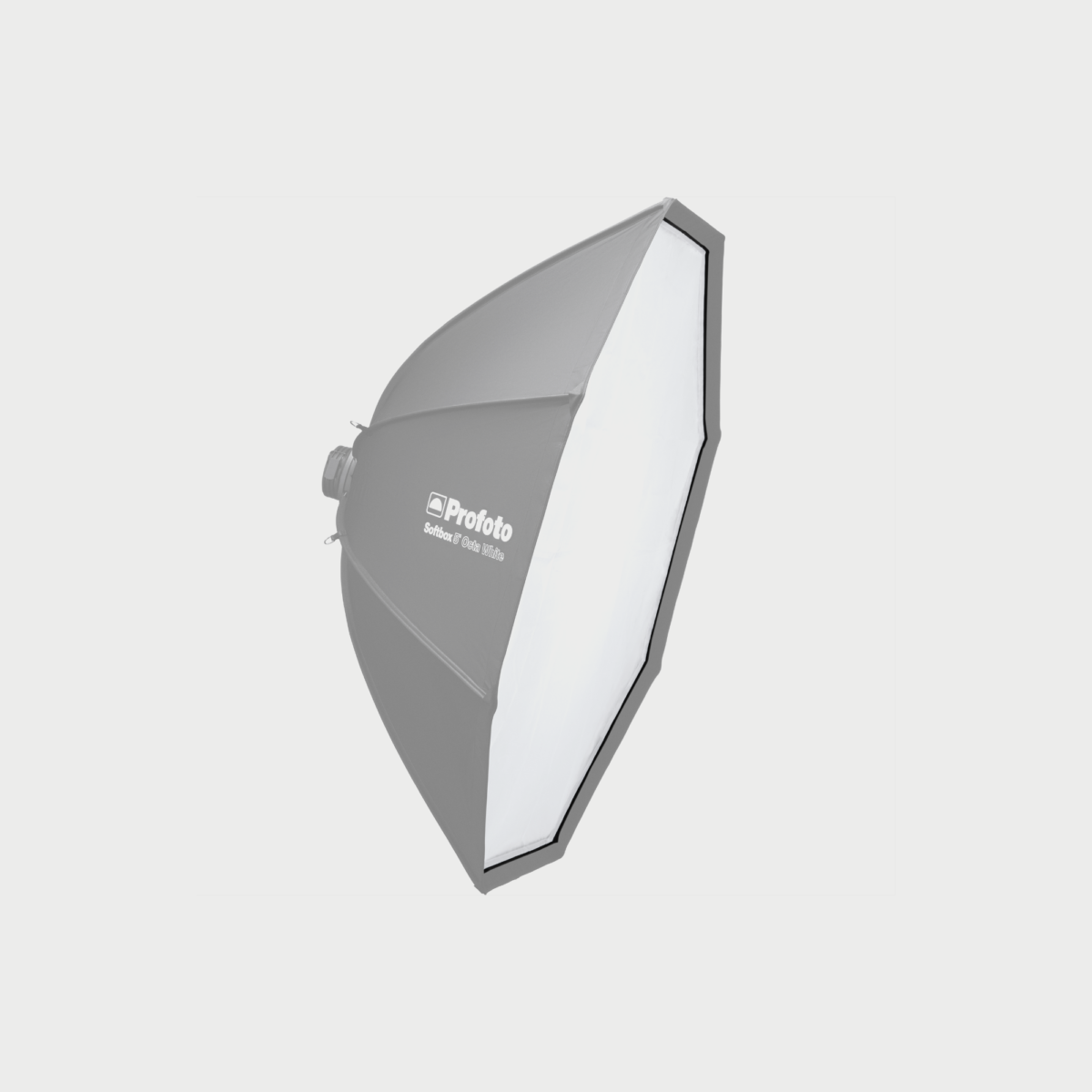 Newsletter pop-up image header